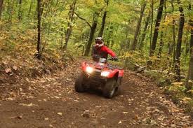 ATV in forest