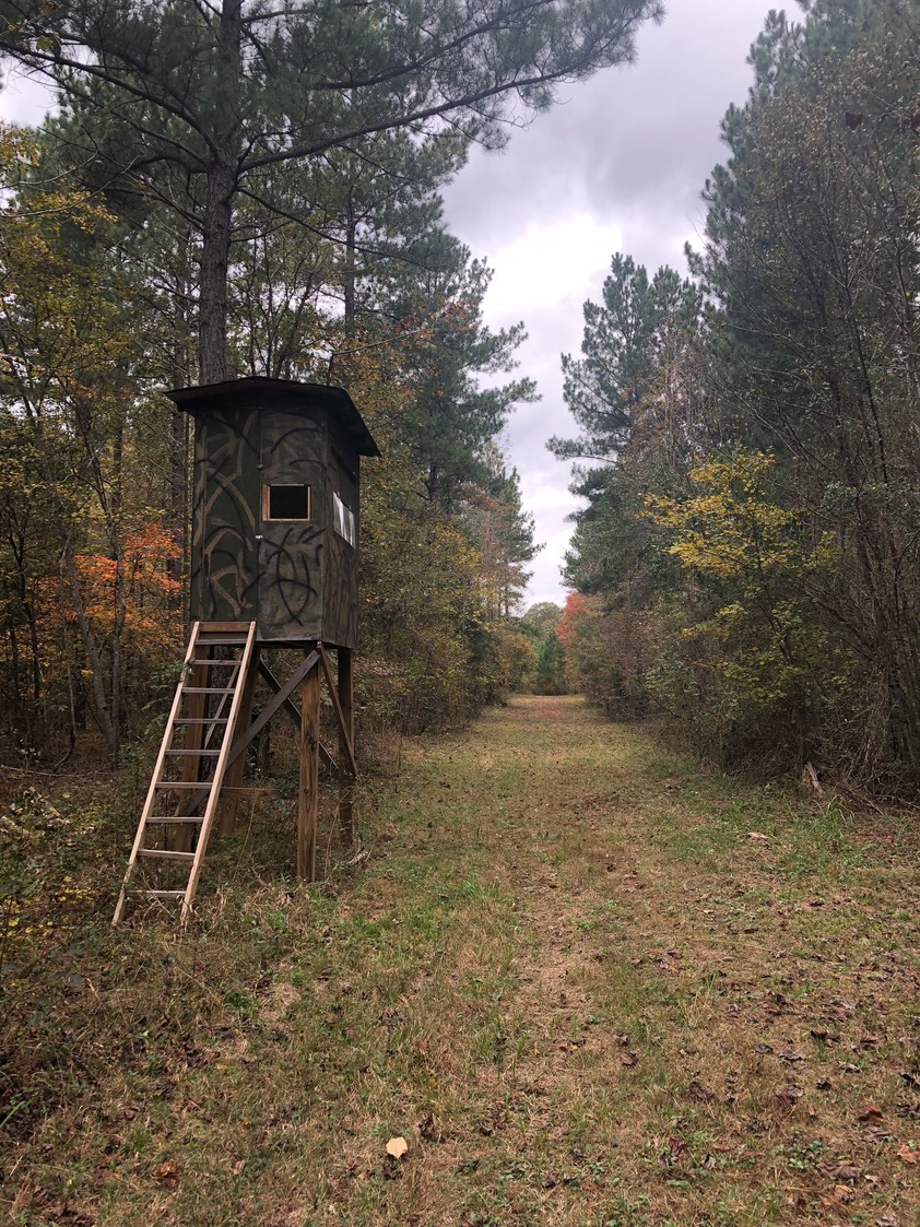 Deer Stand